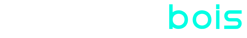 Concept Bois logo texte